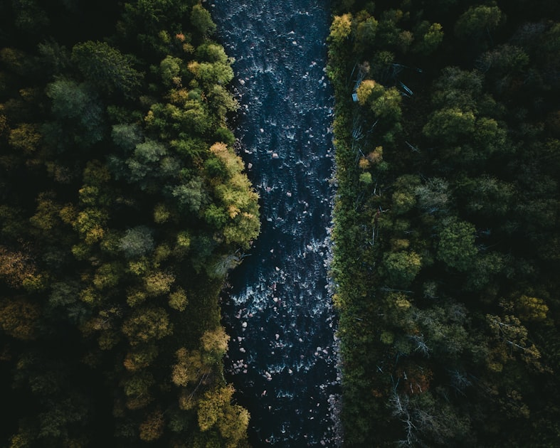 Foxburg: A Community of Culture